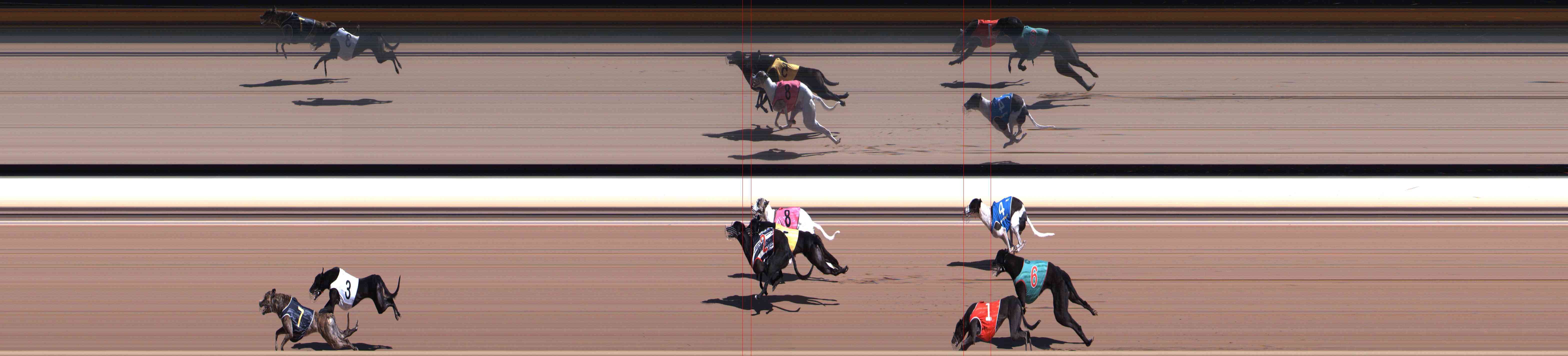 Race result finish photo